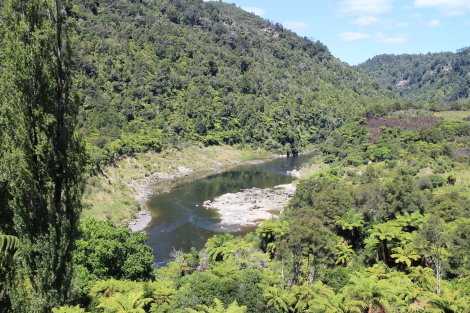 The Whanganui River - rapids below Tieke Kainga